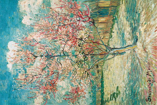 66-009盛開(kāi)的桃花